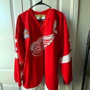 Detroit Red Wings Hockey Jersey Hull #17